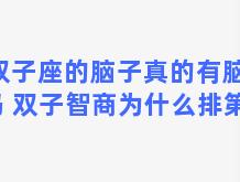 双子座的脑子真的有脑子吗 双子智商为什么排第一